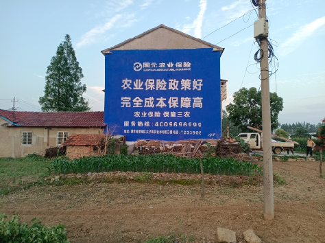 平昌墙体广告为何受追捧？