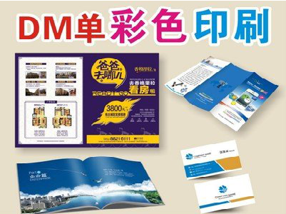 平昌单页印刷，色彩搭配简单。